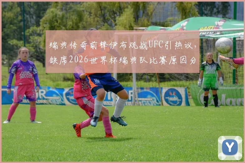 瑞典传奇前锋伊布观战UFC引热议,缺席2026世界杯瑞典队比赛原因分析